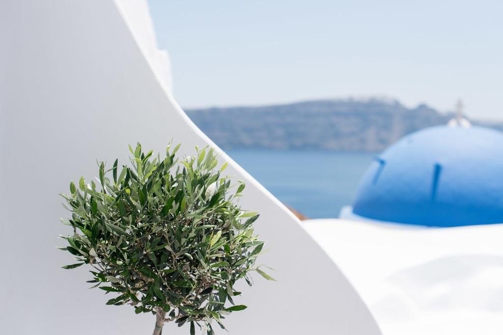 Evmenia Luxury Cave Villa Οία Εξωτερικό φωτογραφία